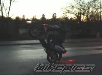 Photo 238054