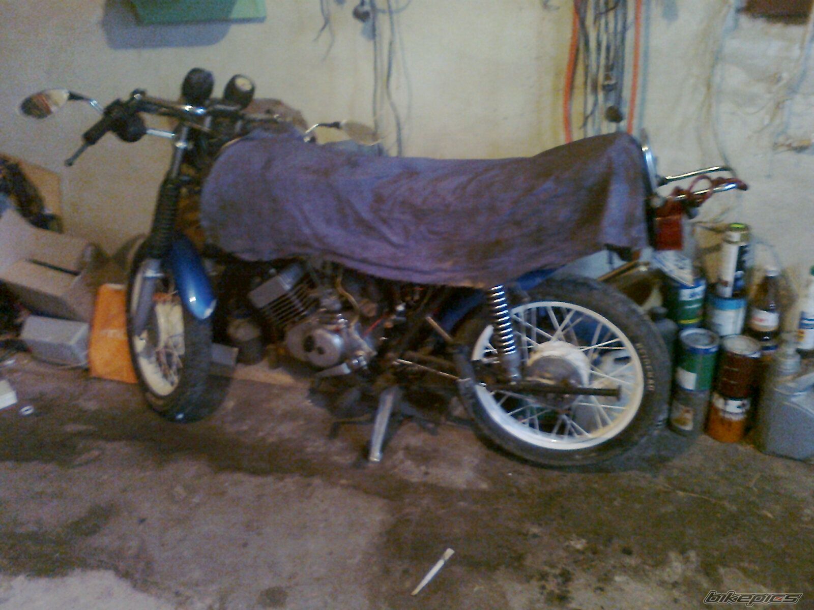 Photo 2381048