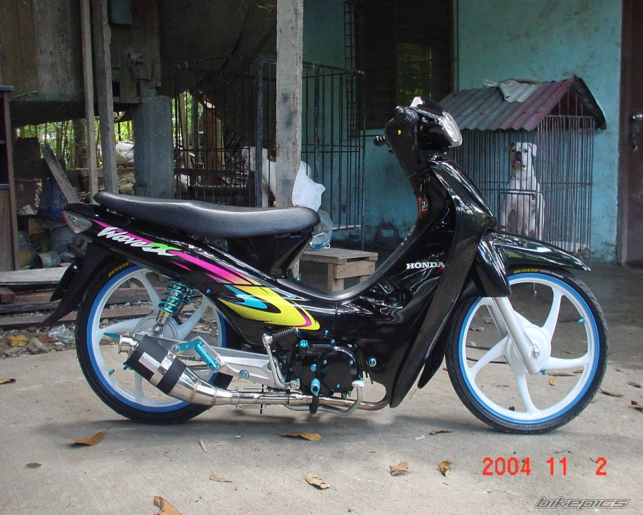 Photo 238122