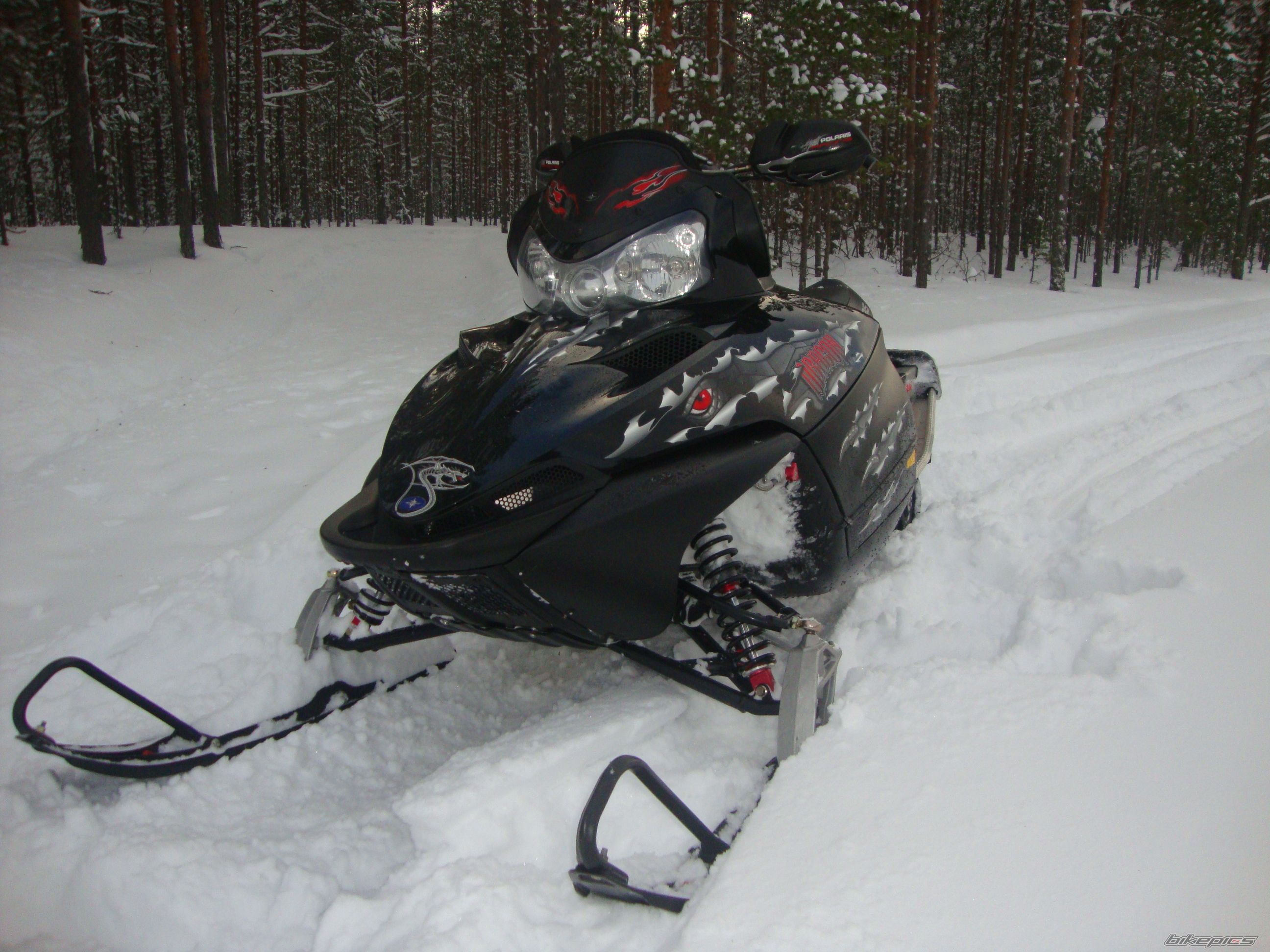 Photo 2381247