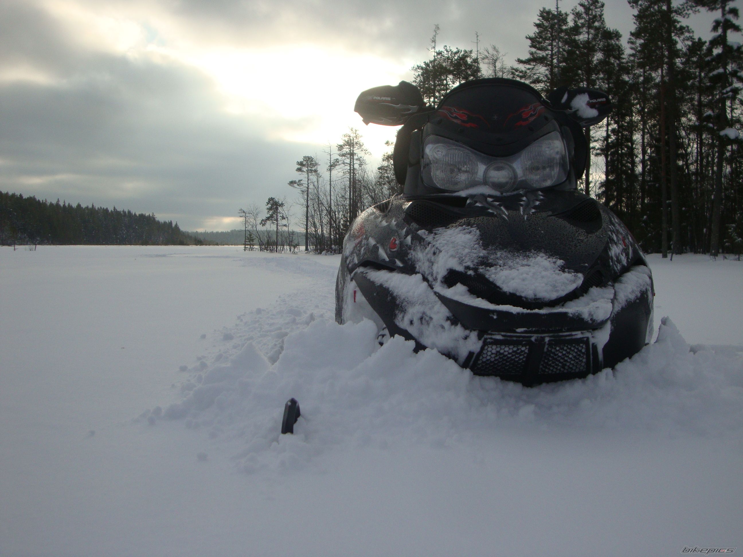Photo 2381249