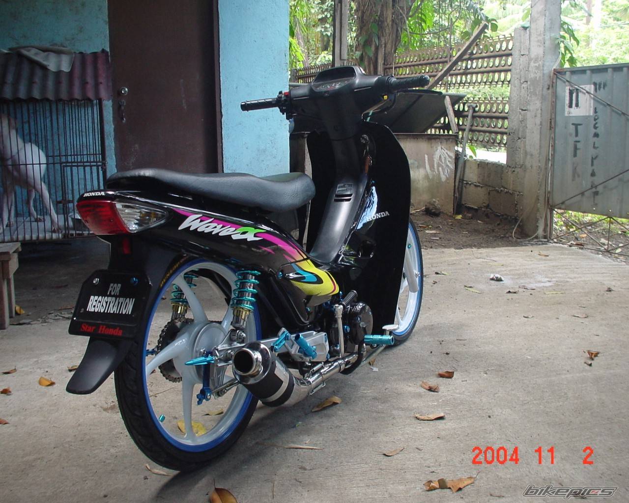 Photo 238131