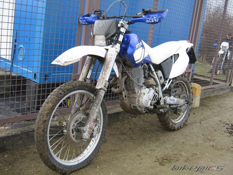 Photo 2381318