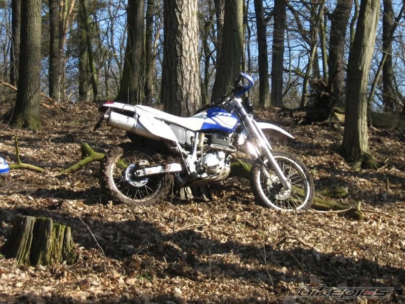 Photo 2381321