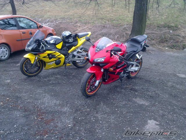 Photo 2381331