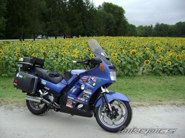 Photo 2381363