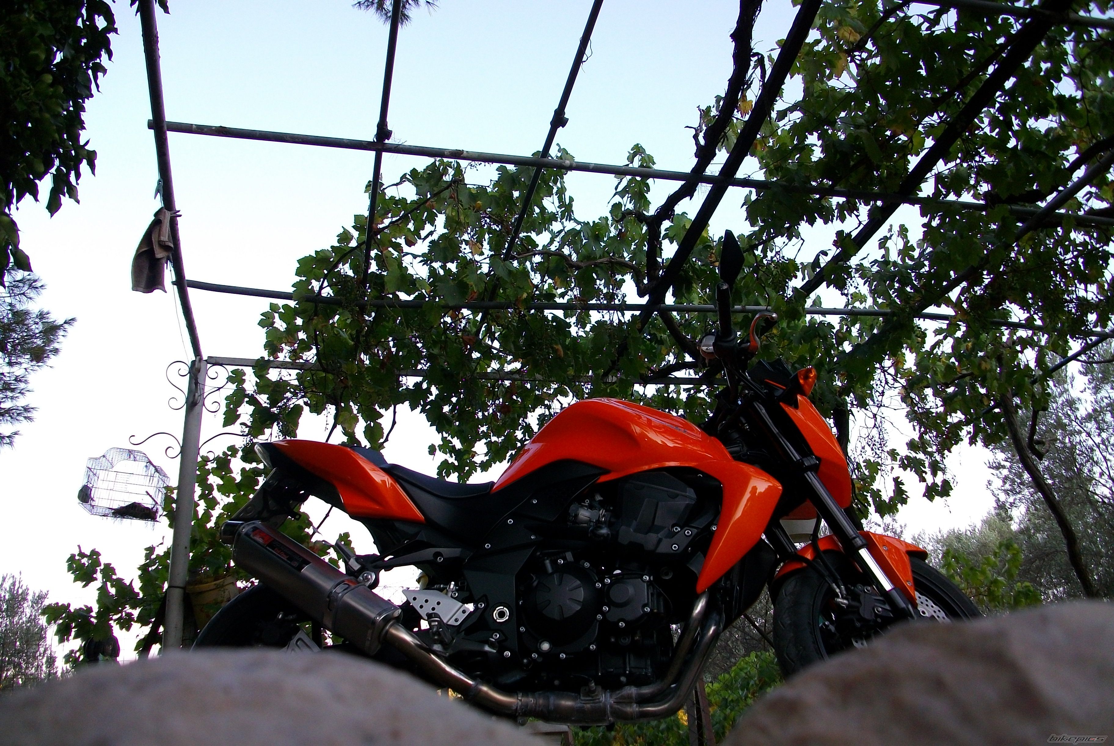 Bike Photo 2381523
