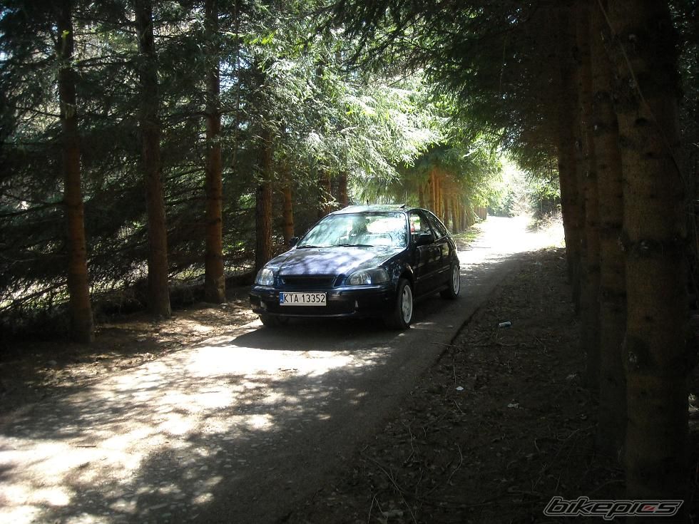 Photo 2381564