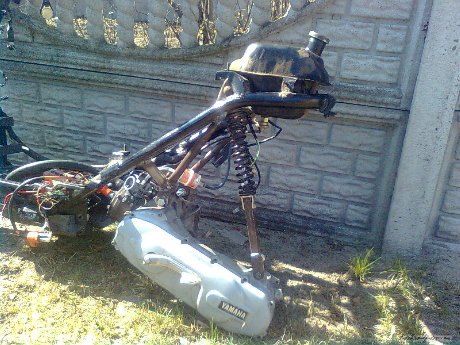 Photo 2381614