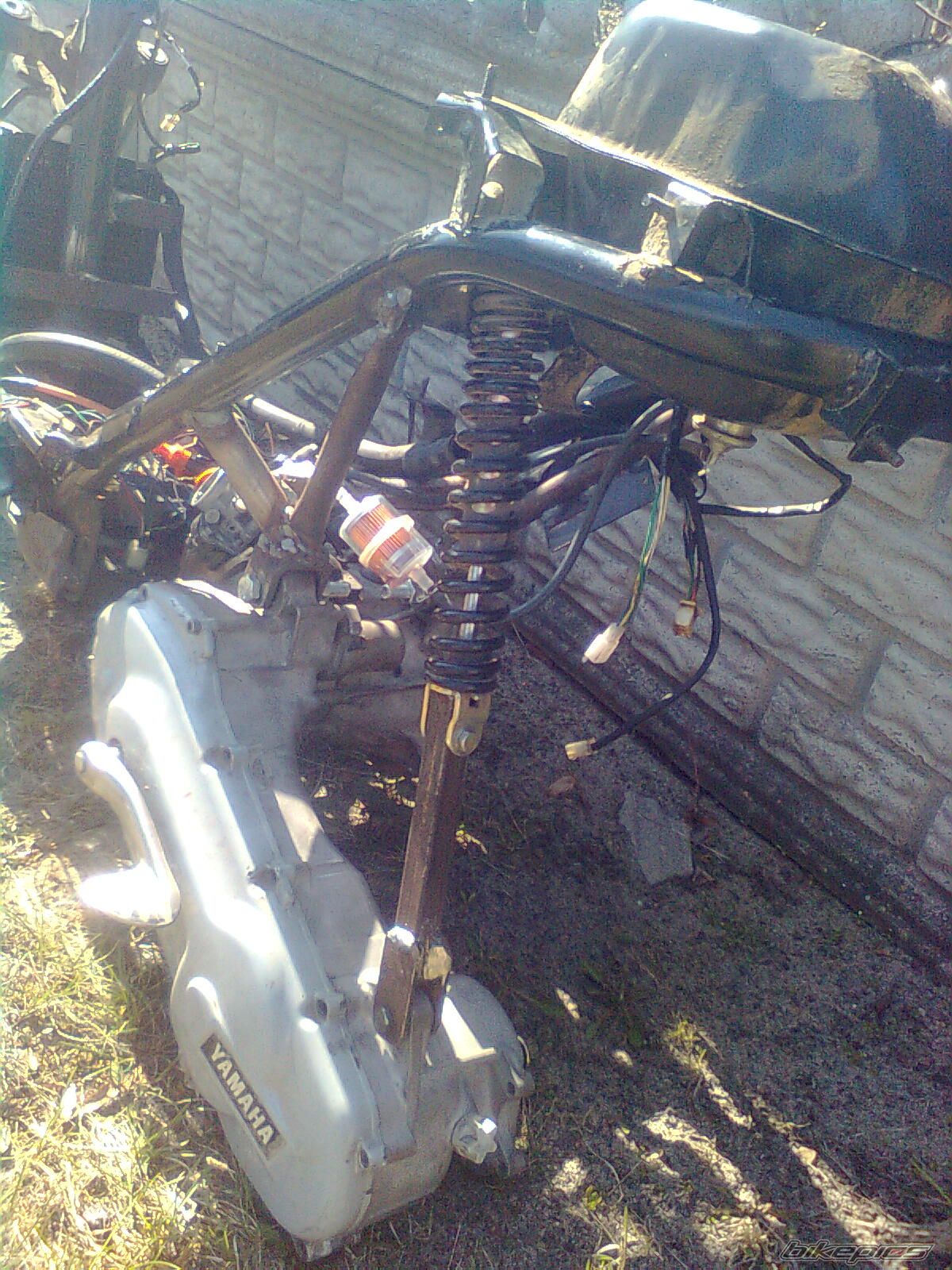 Photo 2381621