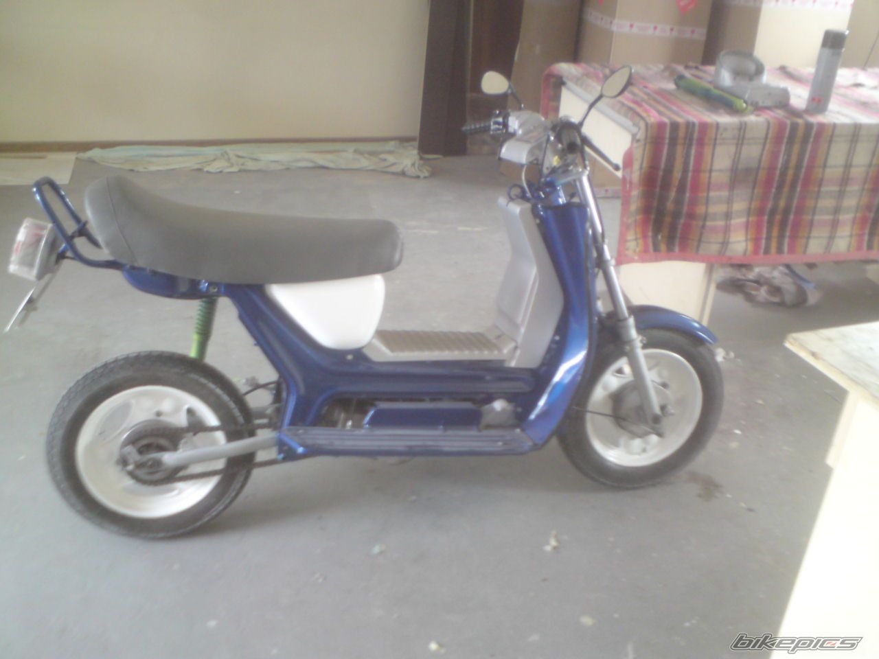 Photo 2381748