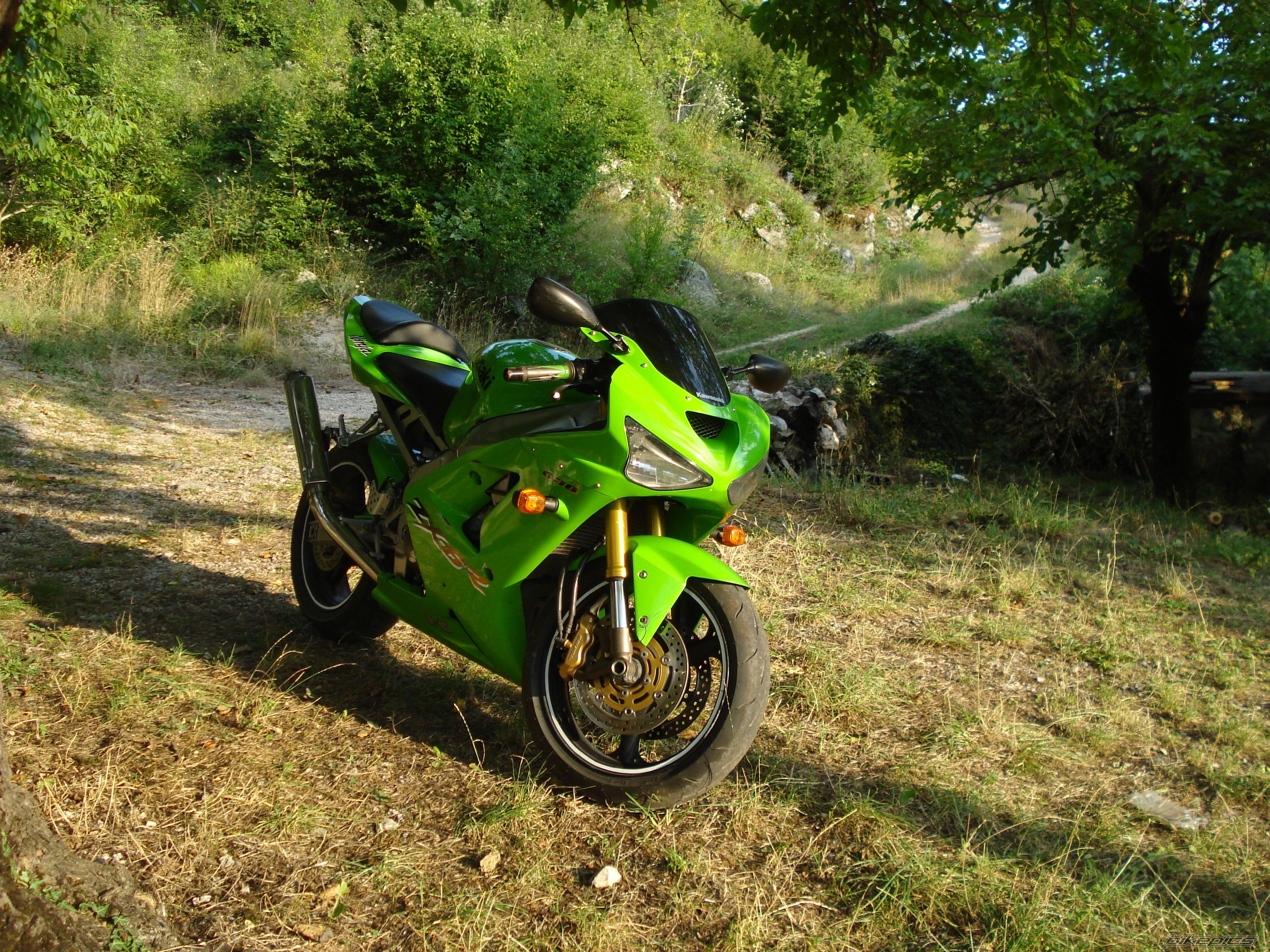 Photo 2381840