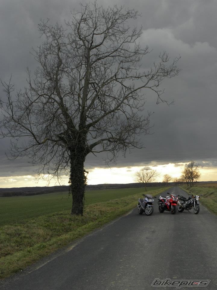 Bike Photo 2381867