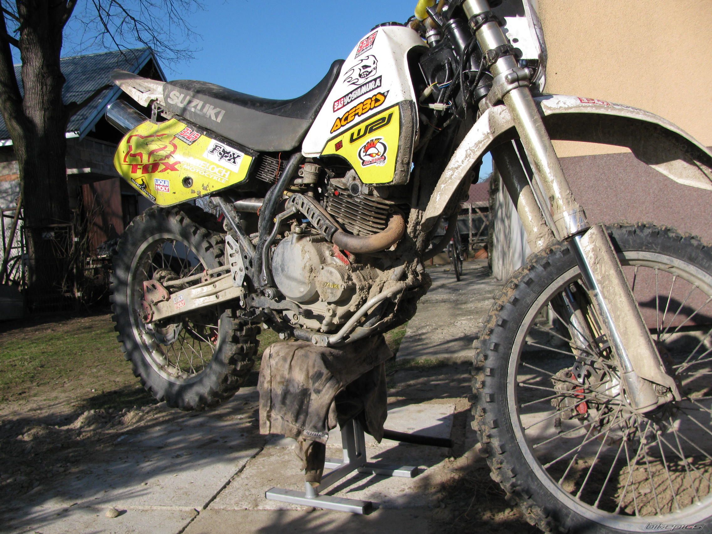 Photo 2381979