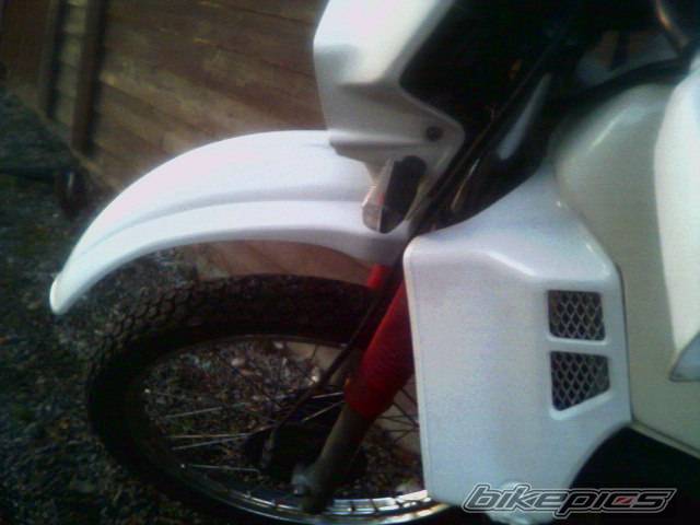 Photo 238198