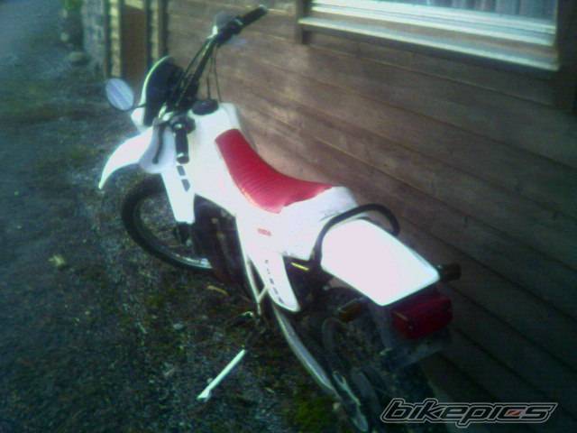 Photo 238199