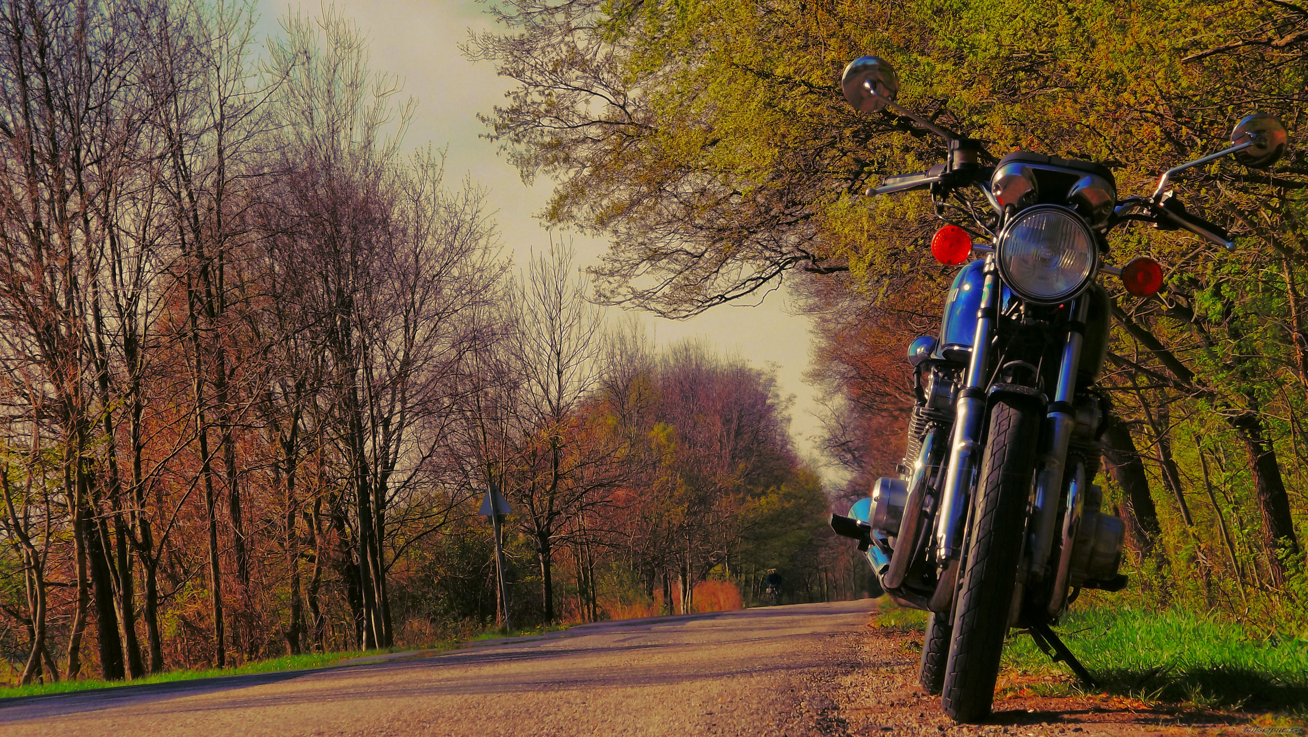 Bike Photo 2382009