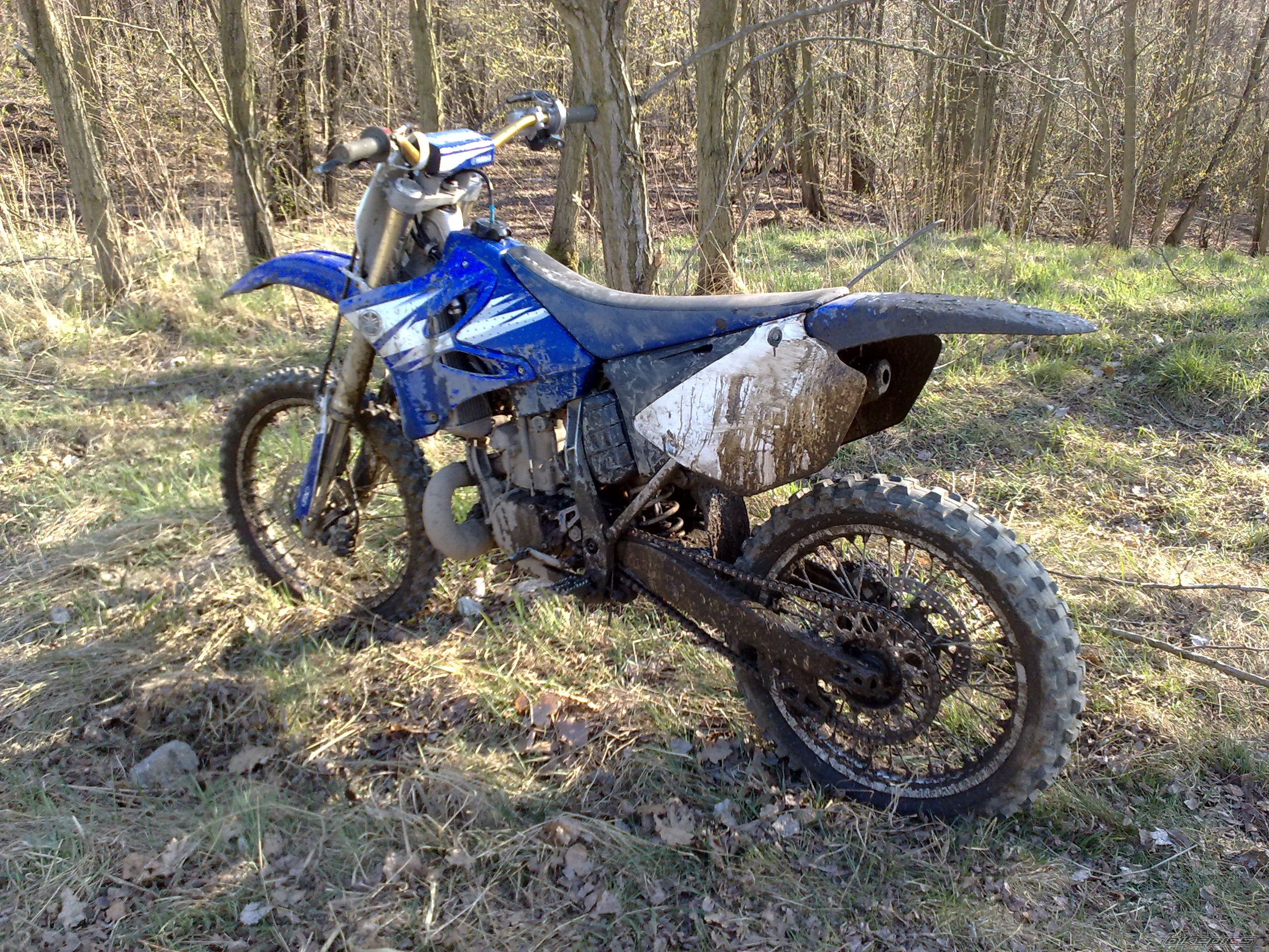 Photo 2382064
