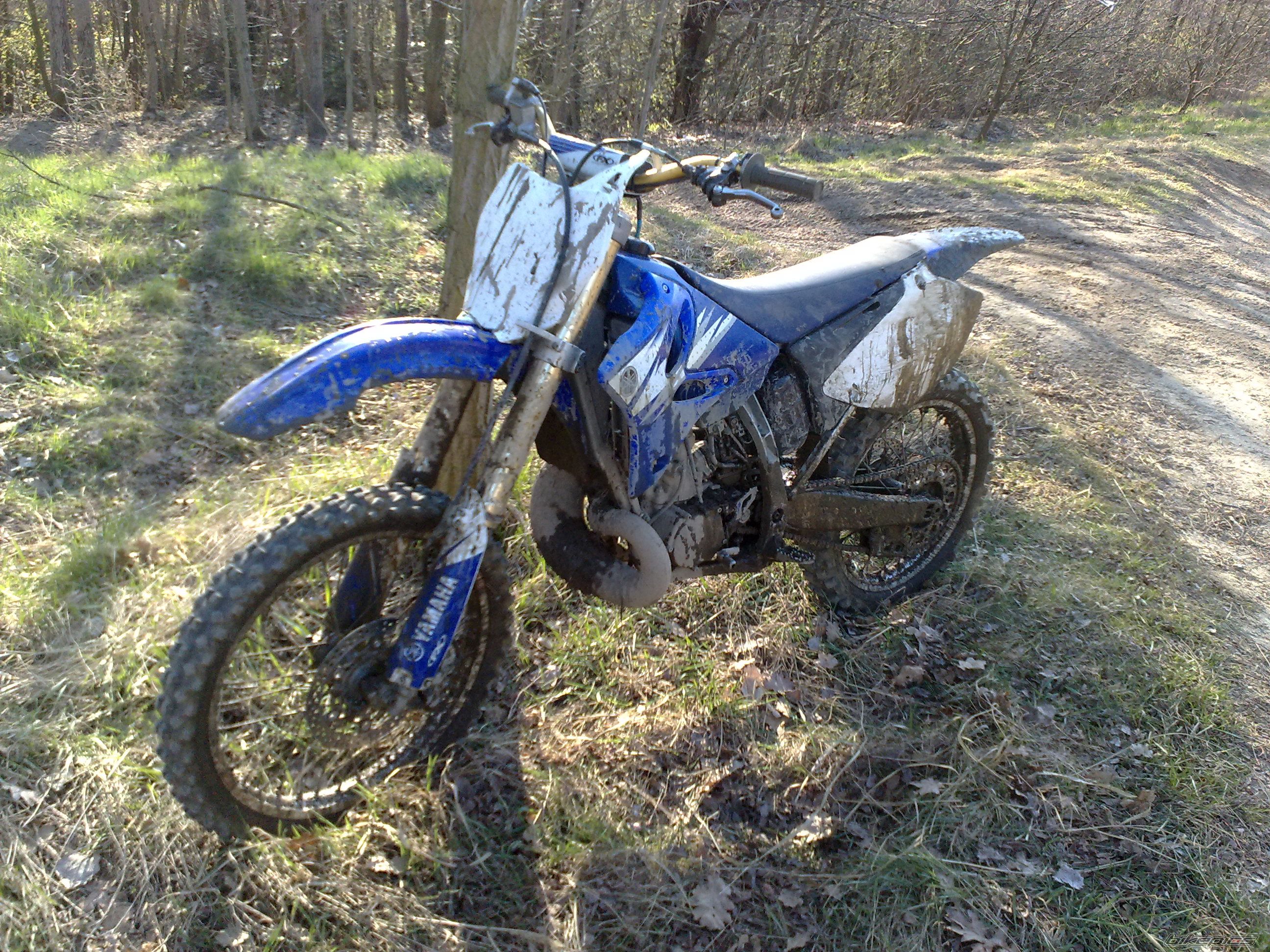 Photo 2382065