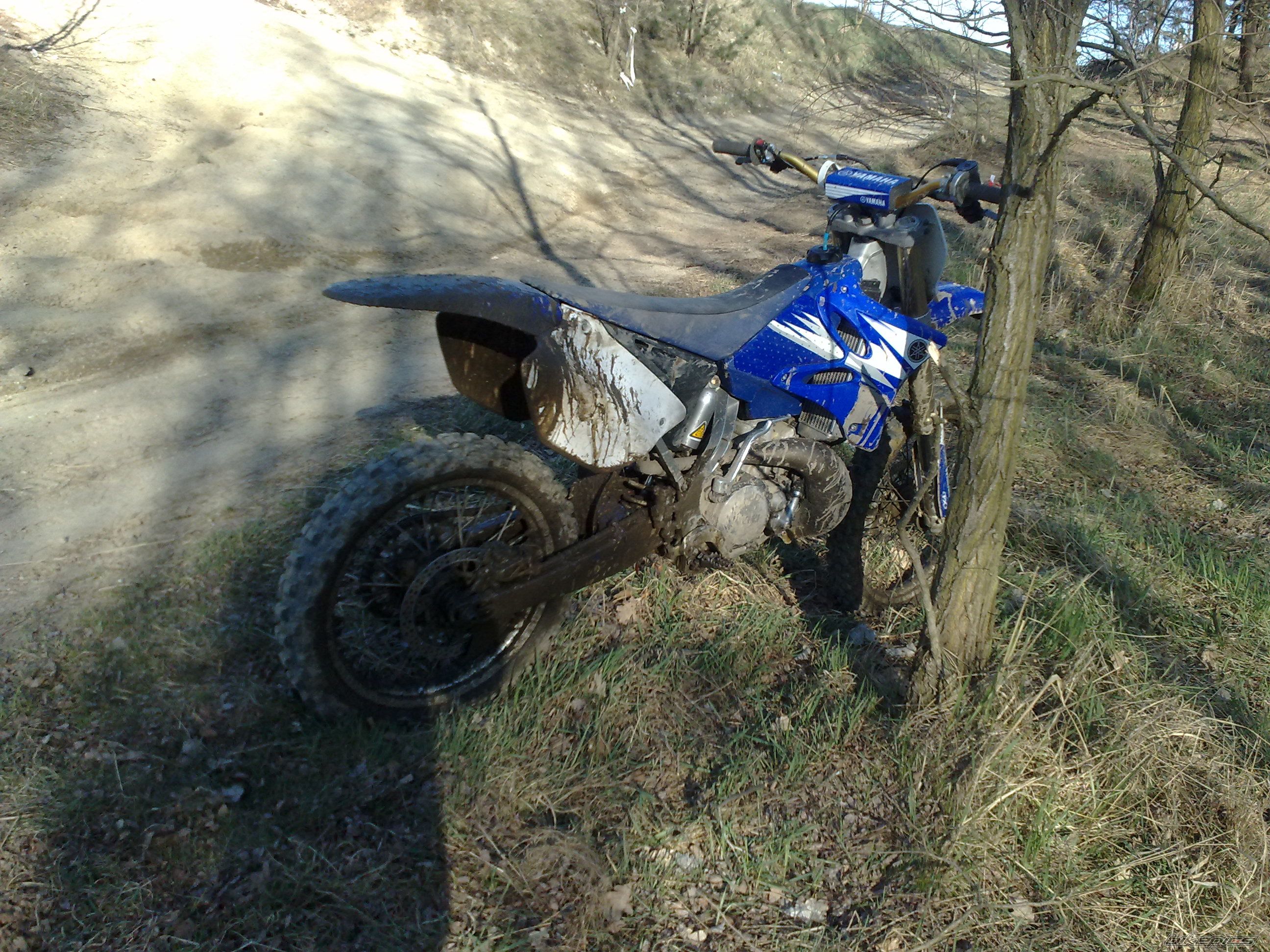 Photo 2382066