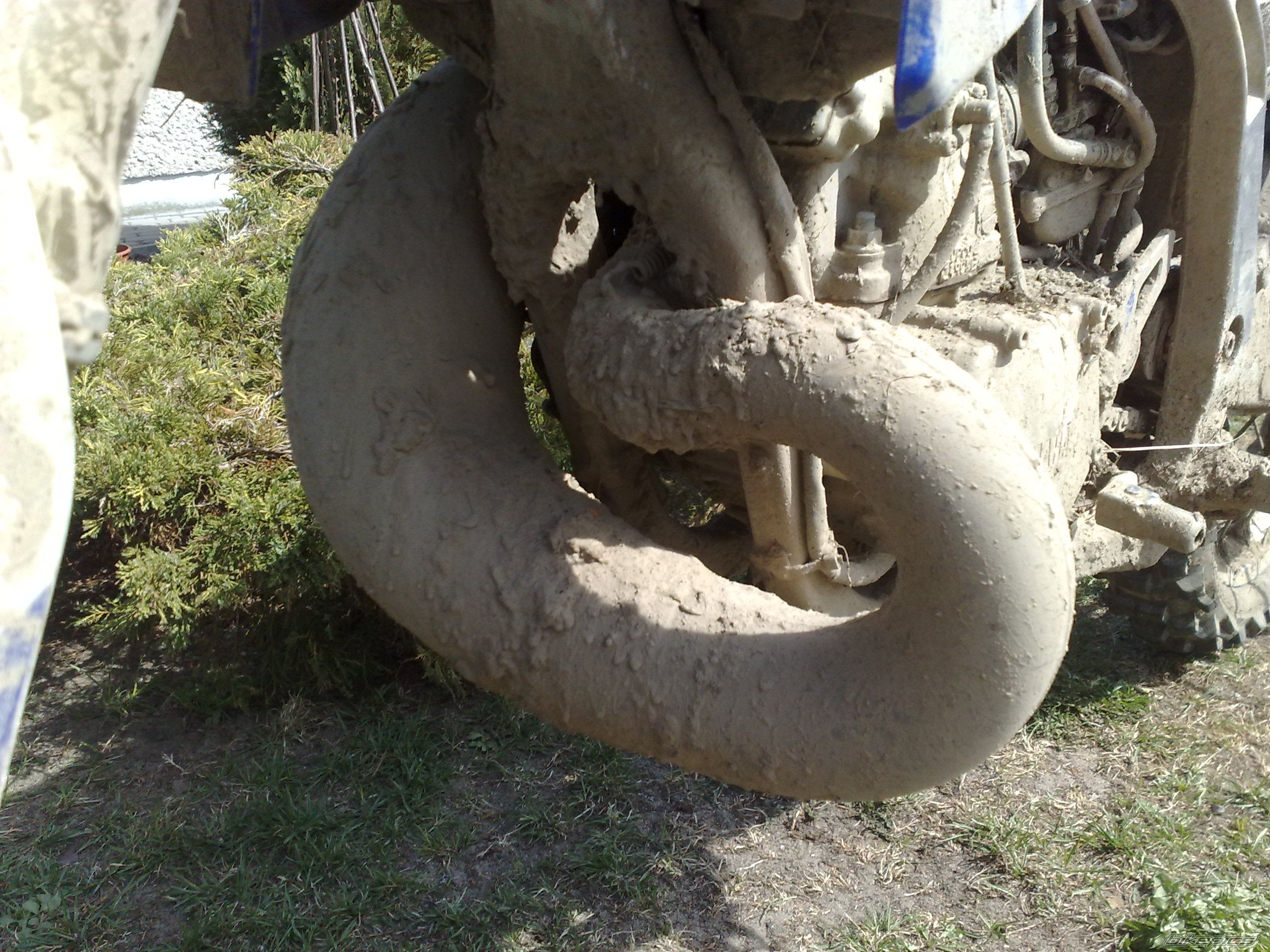 Photo 2382070