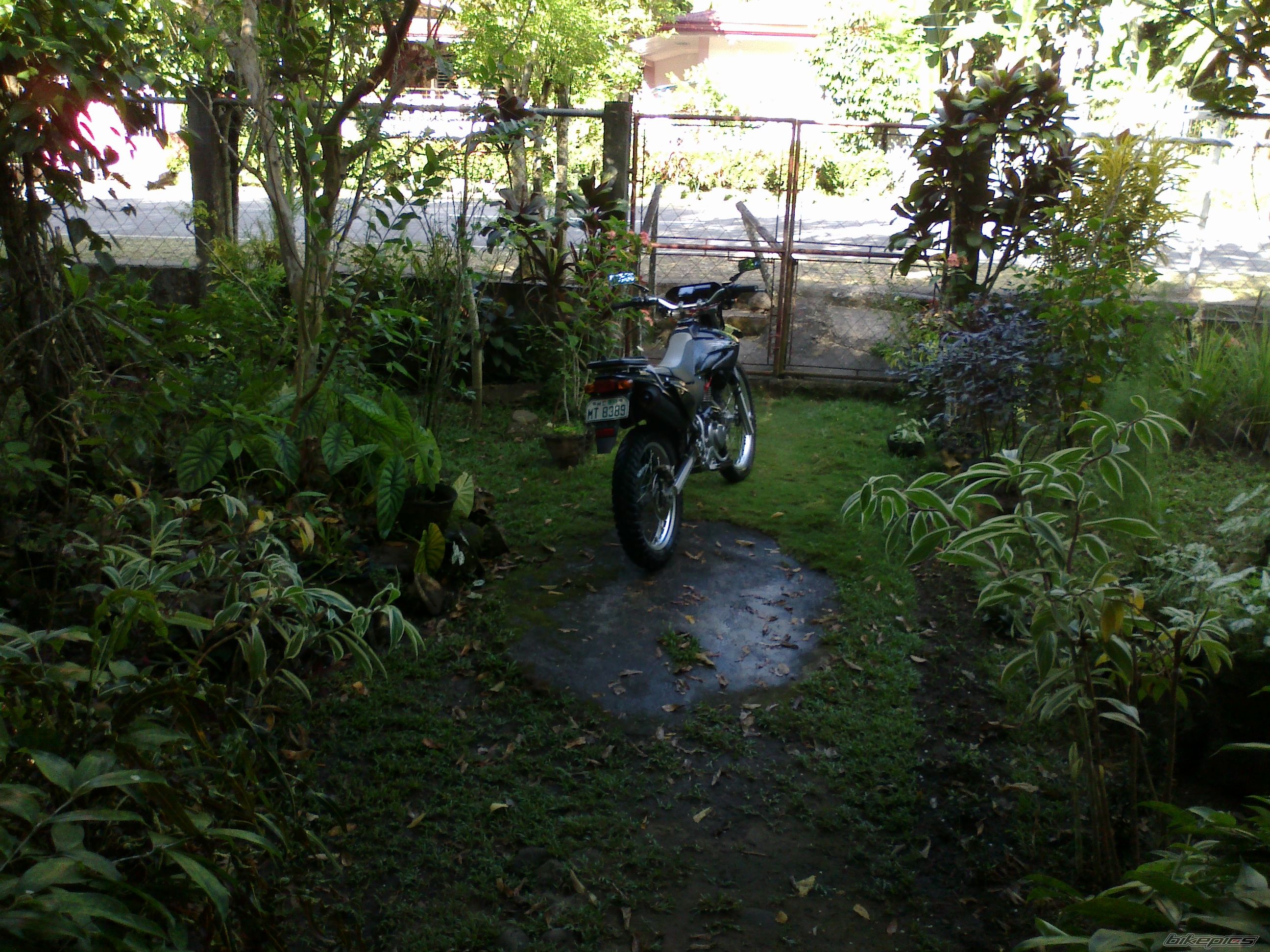 Bike Photo 2382117