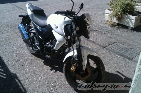 Photo 2382215