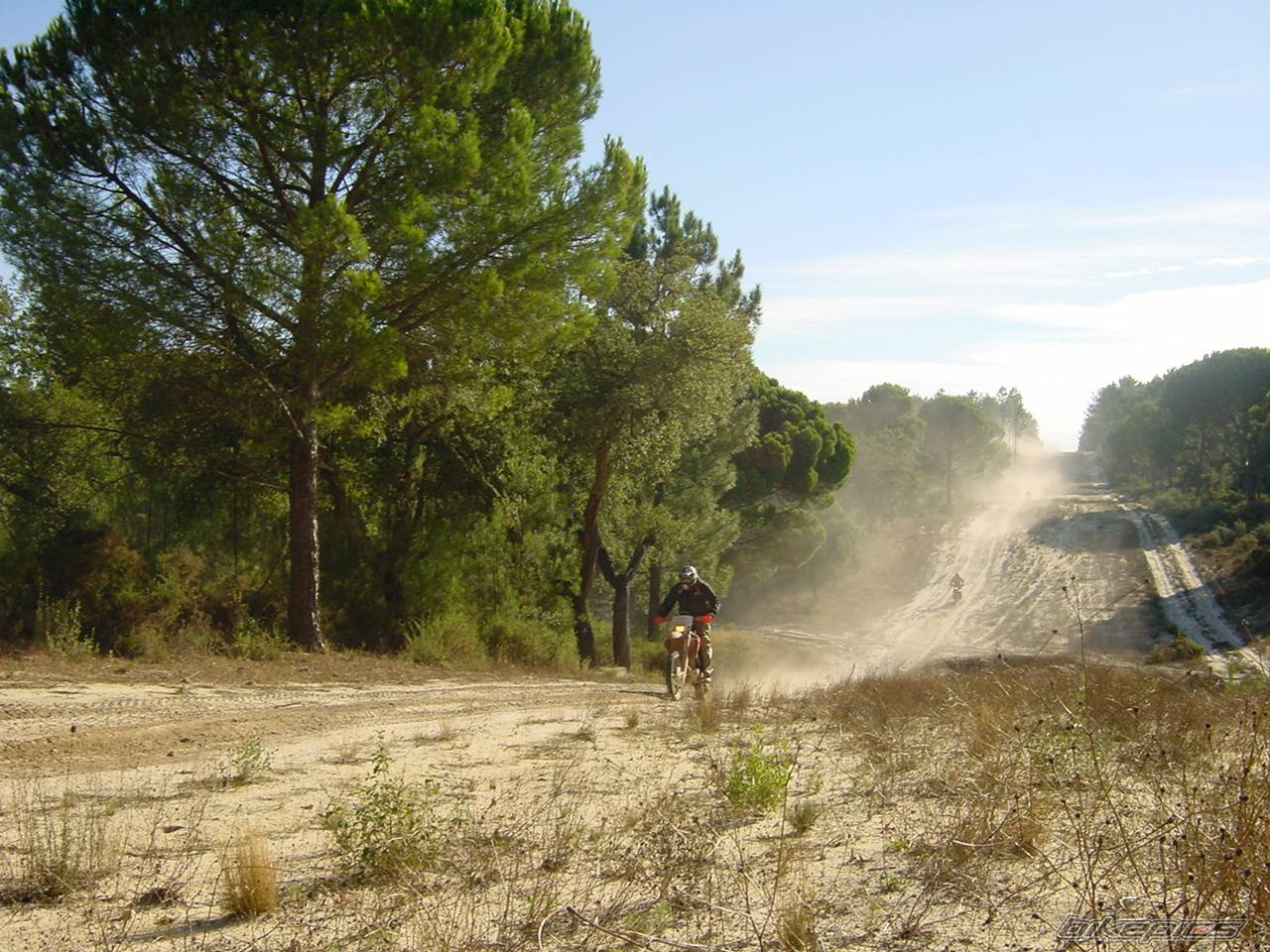 Bike Photo 238231