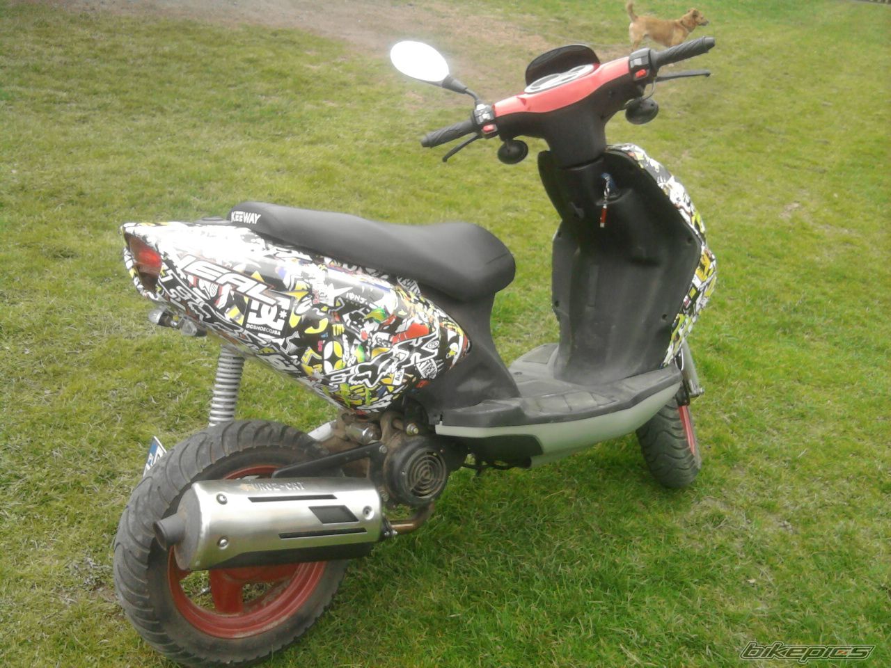 Photo 2382336