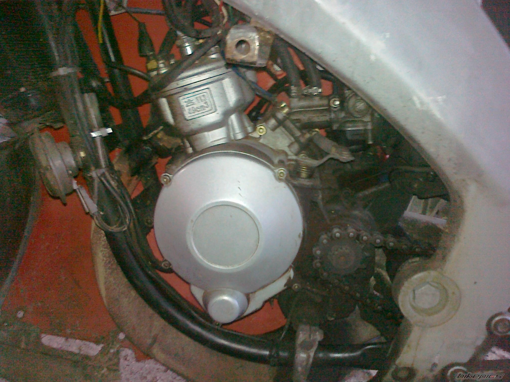 Photo 2382458