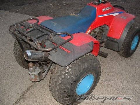 Photo 238250