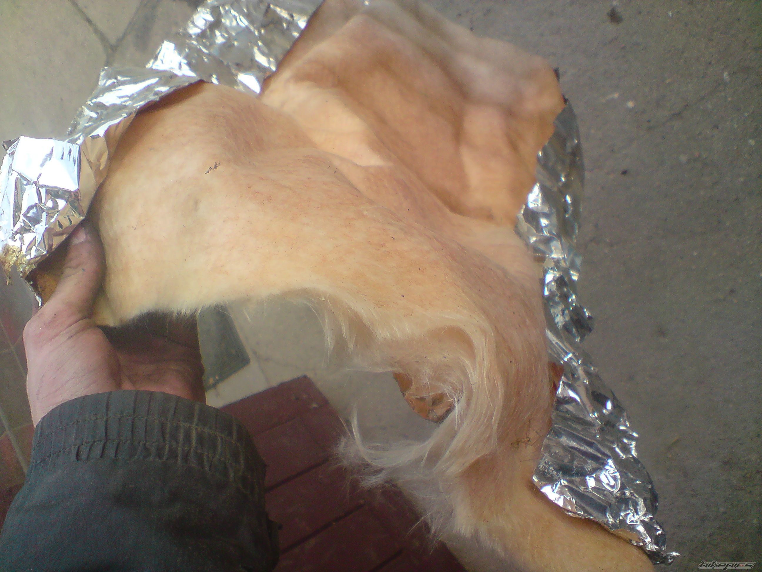 Photo 2382681
