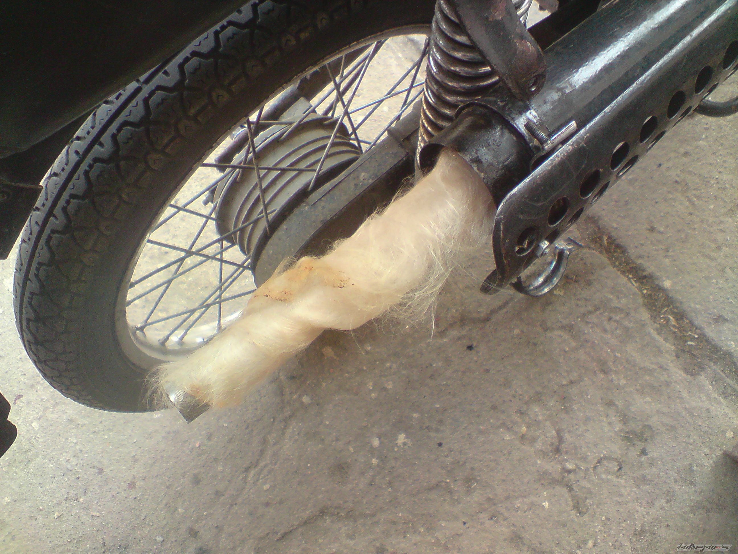 Photo 2382682