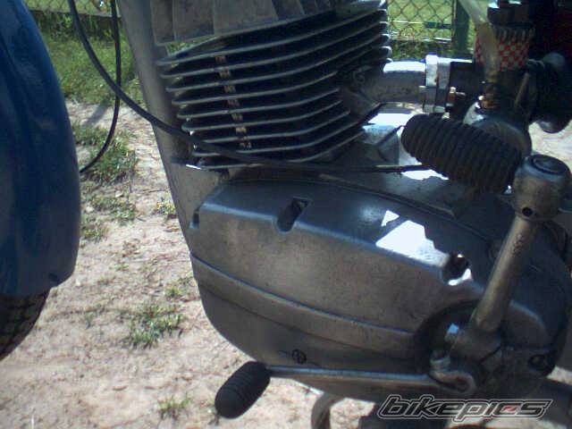 Photo 238277
