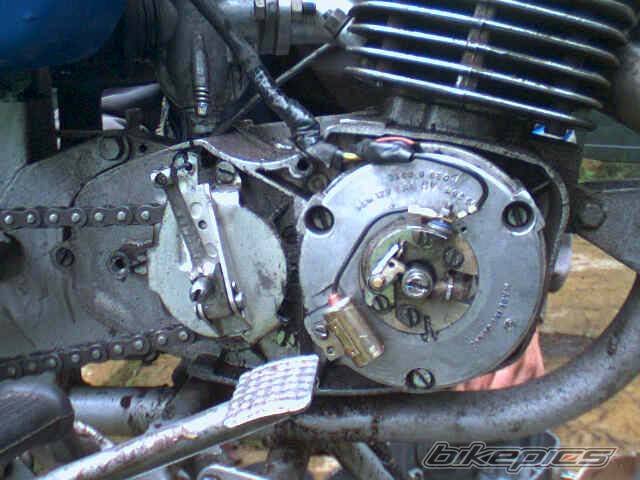 Photo 238279