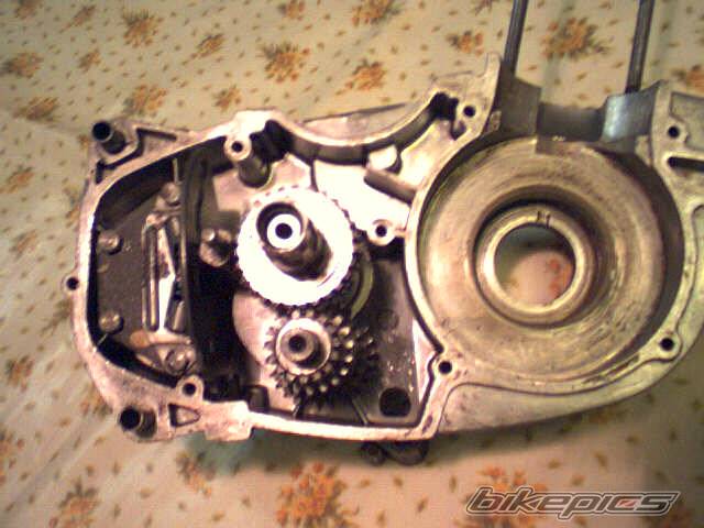 Photo 238284