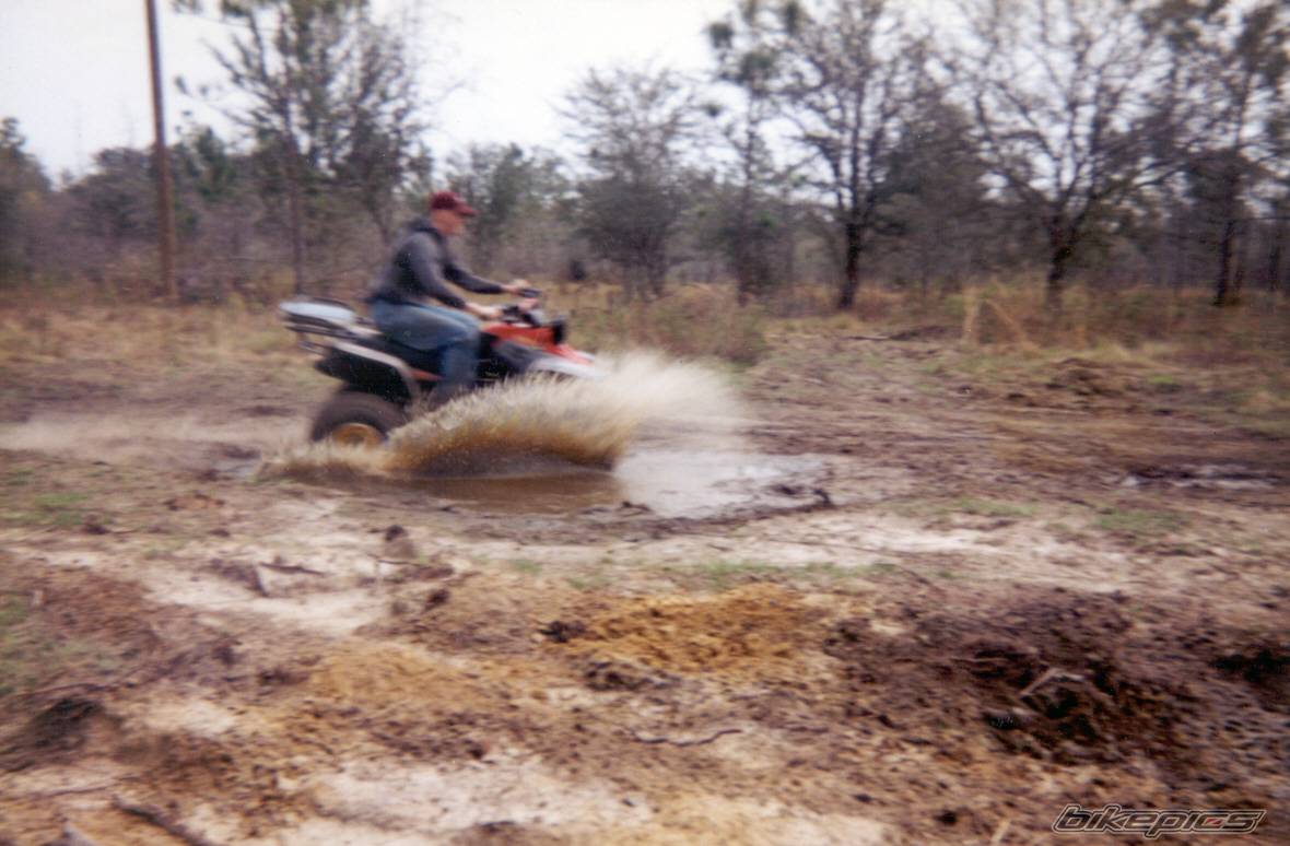 Photo 238288