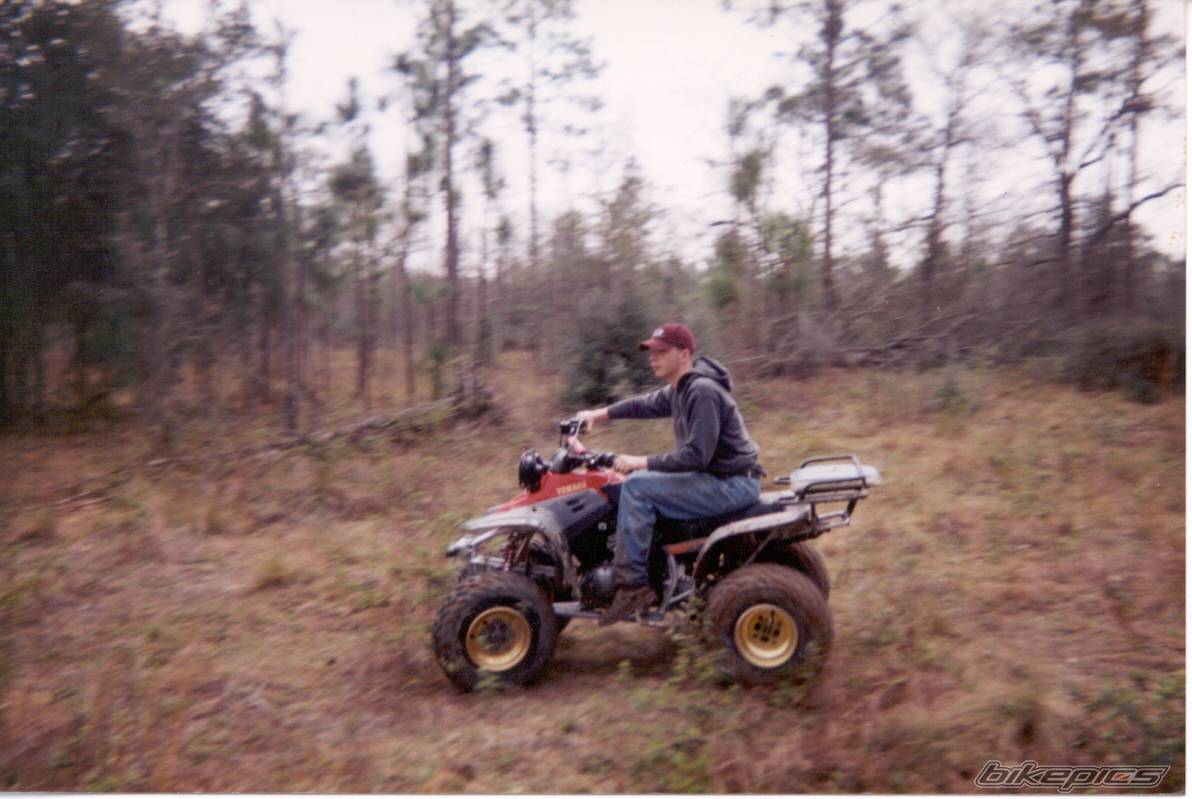 Photo 238292