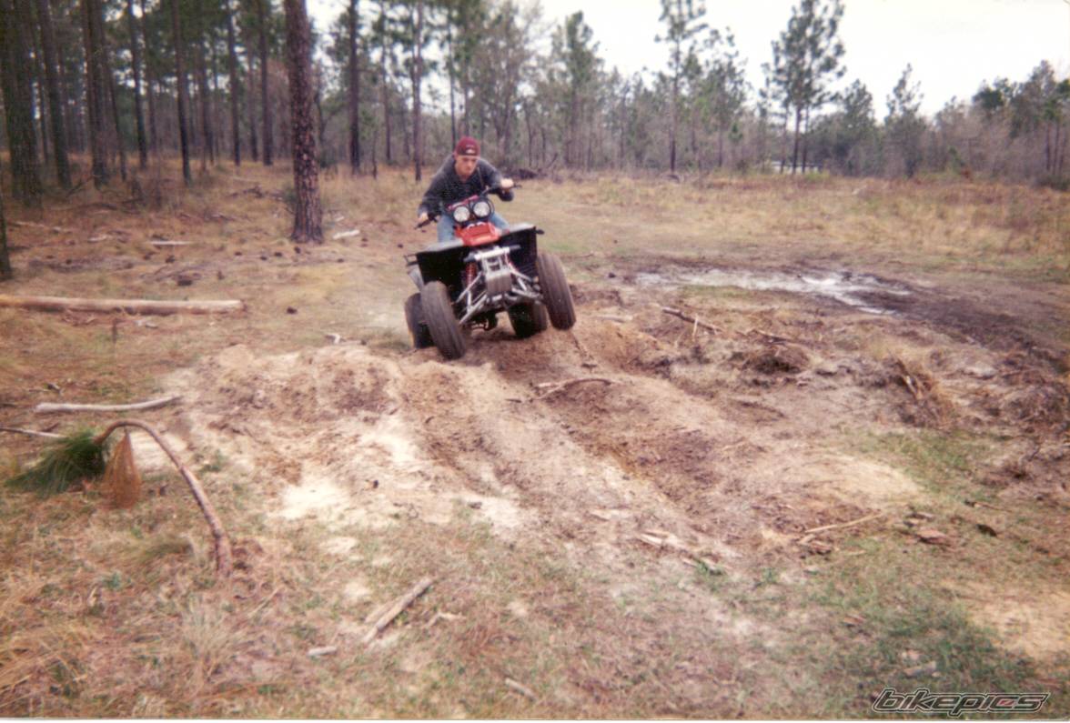 Photo 238295