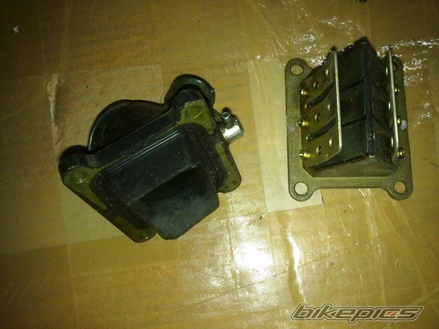 Photo 2383070