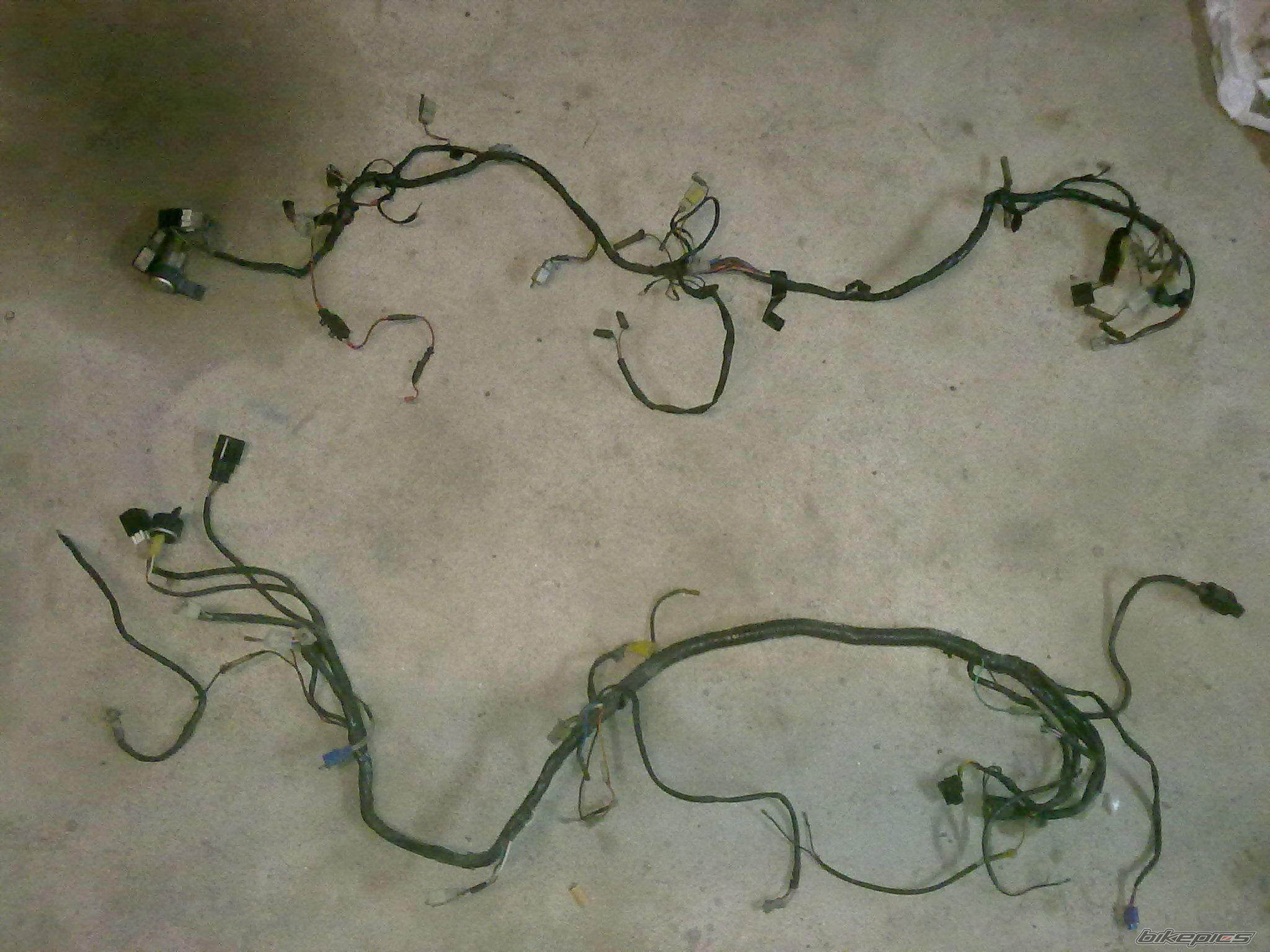 Photo 2383076