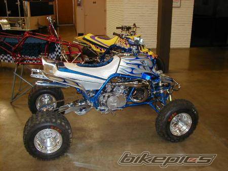 Photo 23831