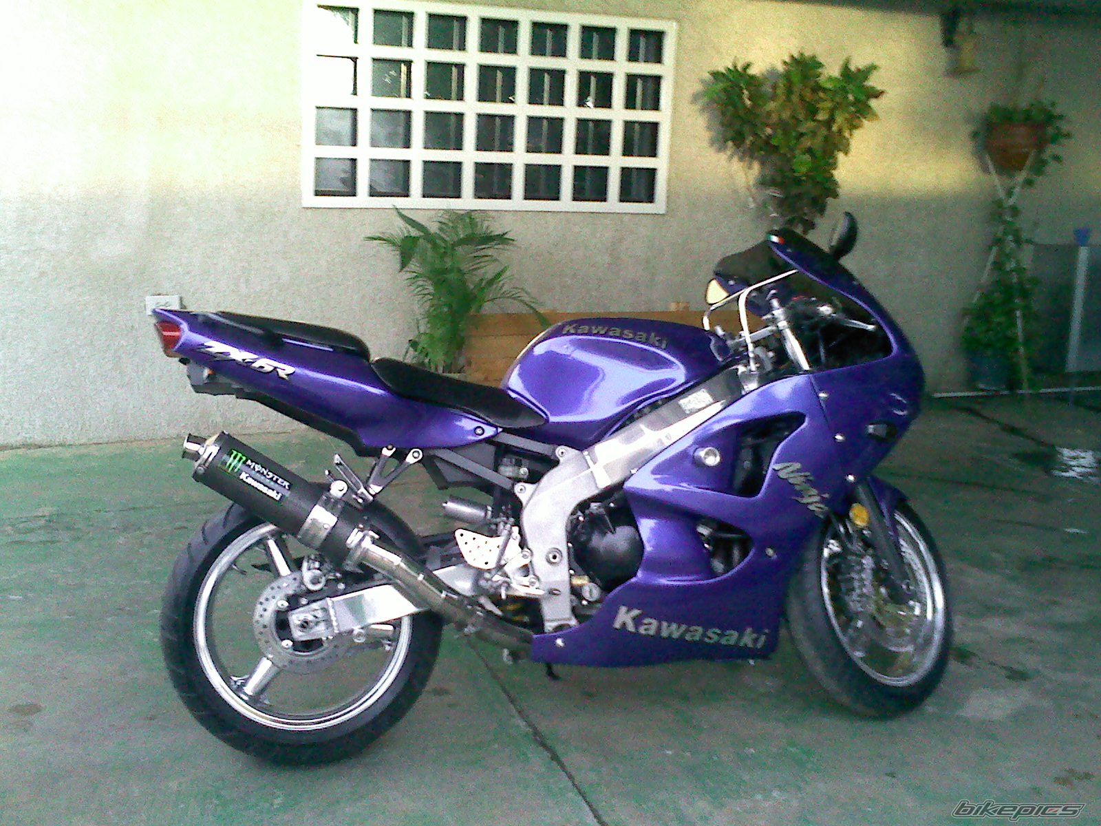 Photo 2383324