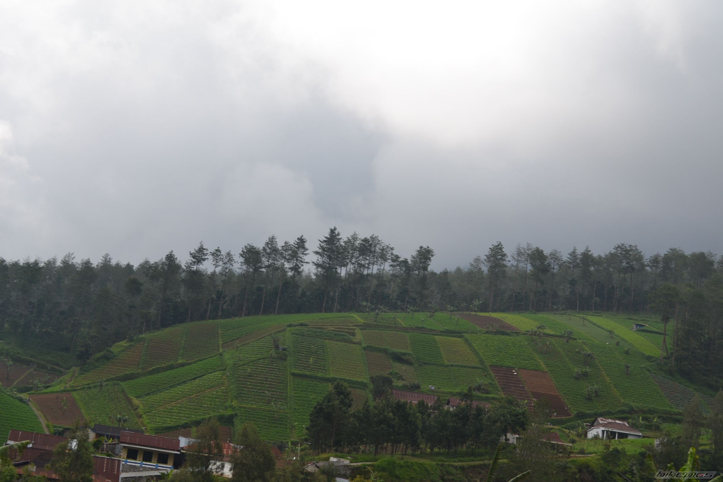 Photo 2383397