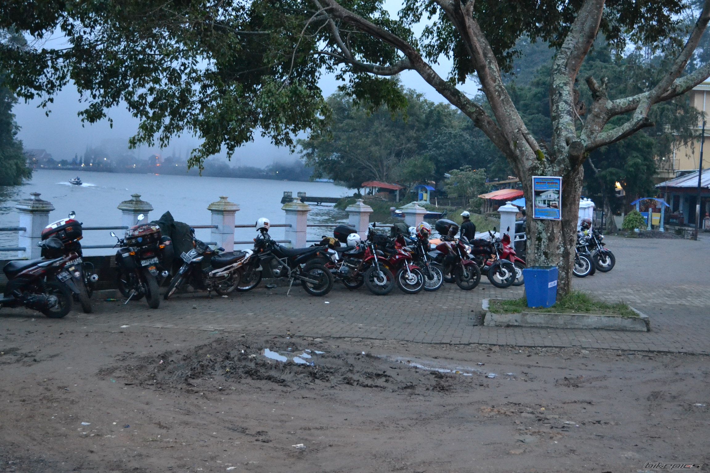 Photo 2383405