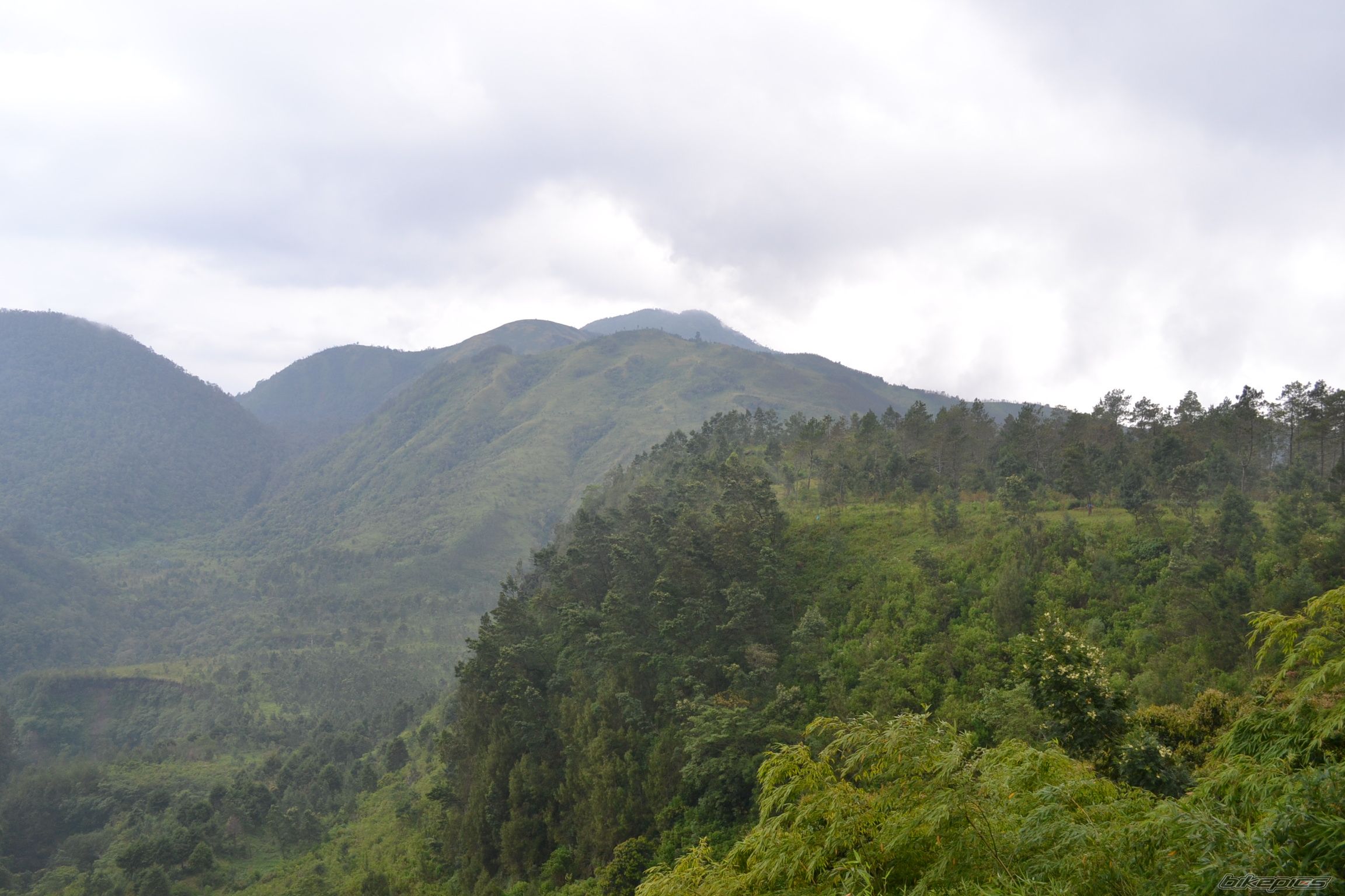 Photo 2383413