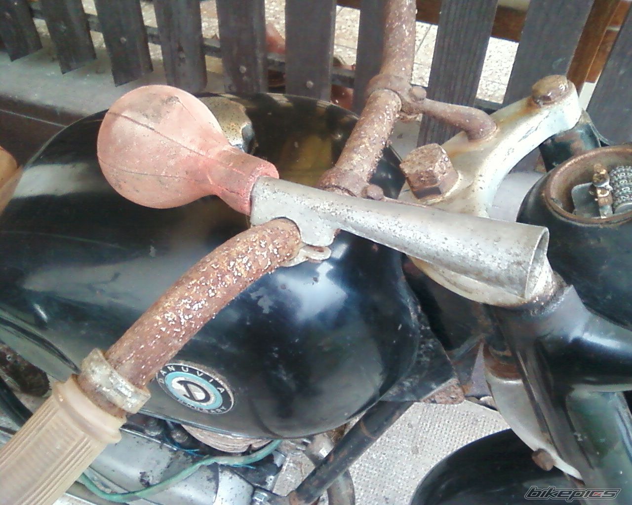 Photo 2383483