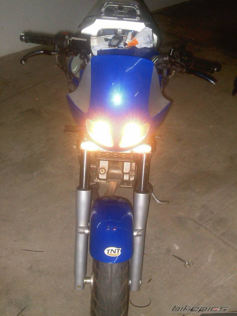 Photo 238354