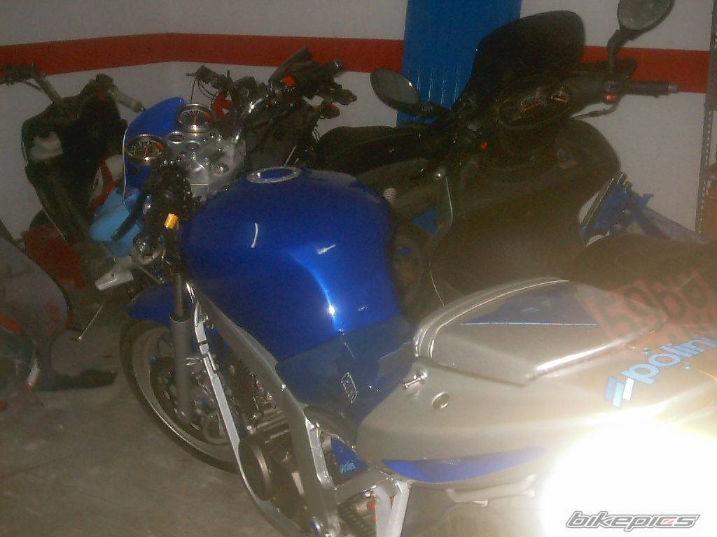 Photo 238355