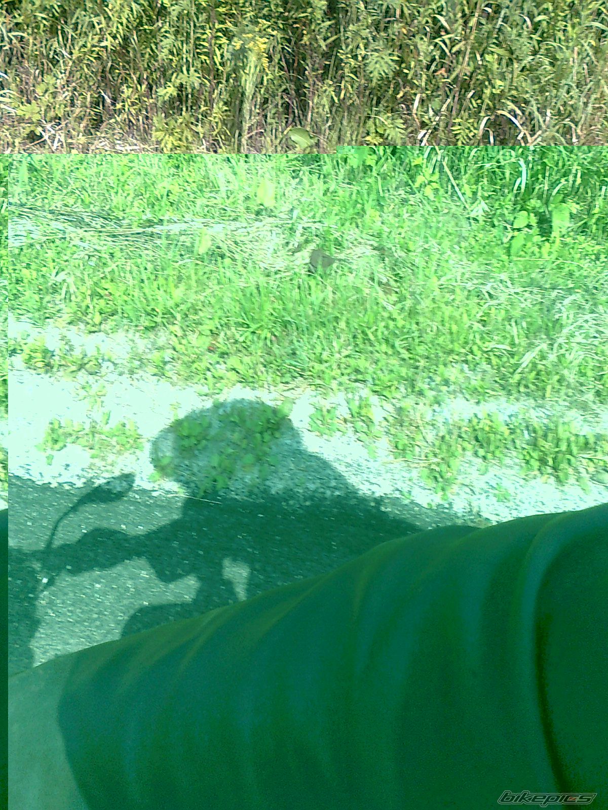 Photo 2383643